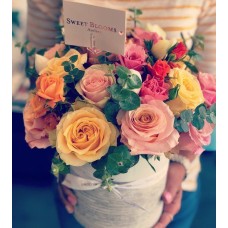 Rainbow Blossom